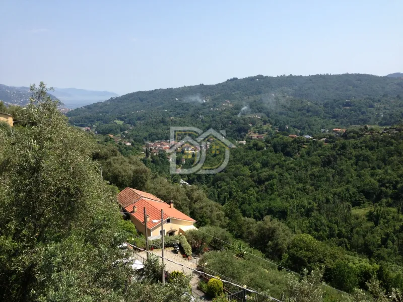 Anteprima